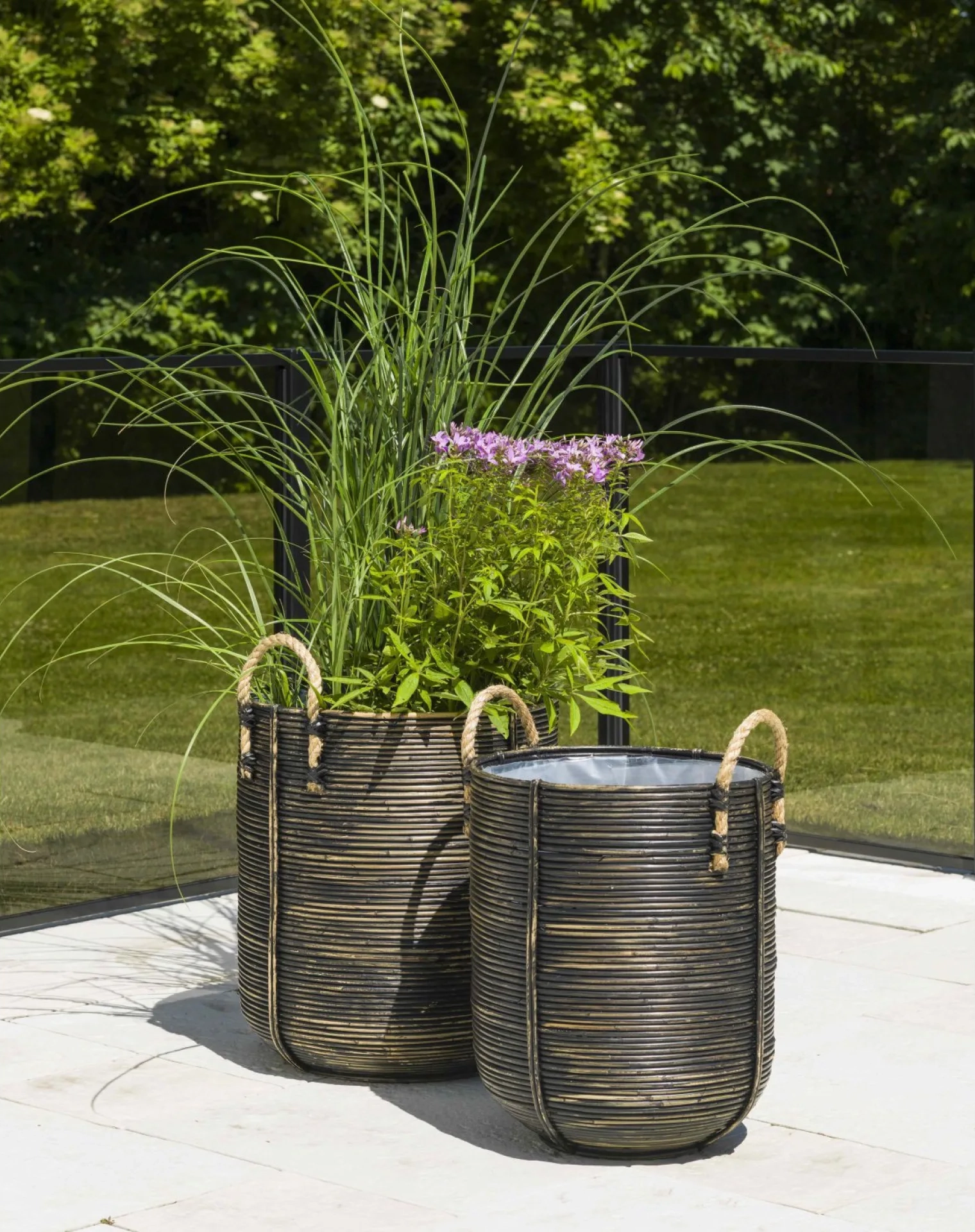 2073403_1_(1920x1920).WEBP